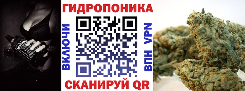 Магазин наркотиков Куртамыш Галлюциногенные грибы ГАШИШ КОКАИН АМФЕТАМИН