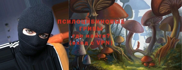 бошки Новодвинск