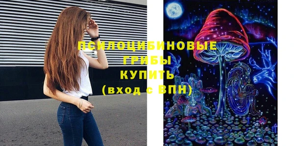 сатива Няндома