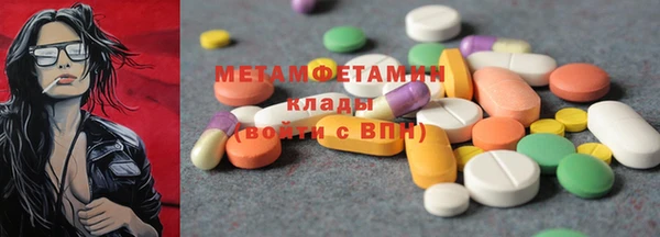 сатива Няндома