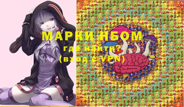 сатива Няндома