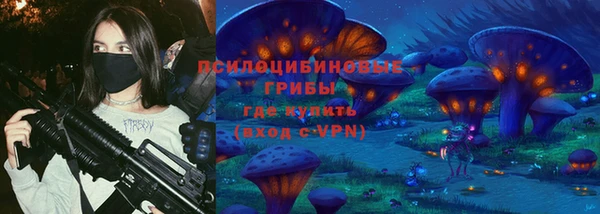 бошки Новодвинск