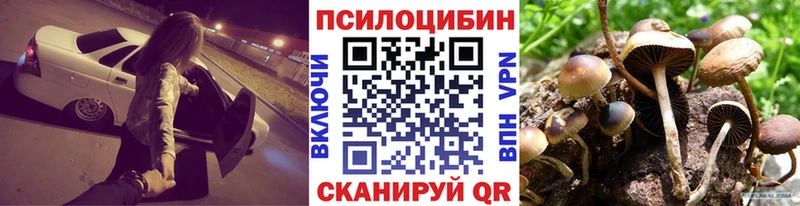 Галлюциногенные грибы прущие грибы  kraken вход  Куртамыш 